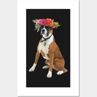 Flower crowned boxer Posters and Art